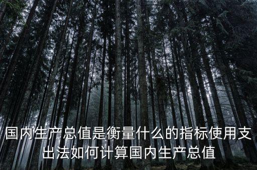 國內(nèi)生產(chǎn)總值是衡量什么的指標(biāo)，國內(nèi)生產(chǎn)總值是衡量一個國家經(jīng)濟(jì)增長的基本指標(biāo)指的是   A一個