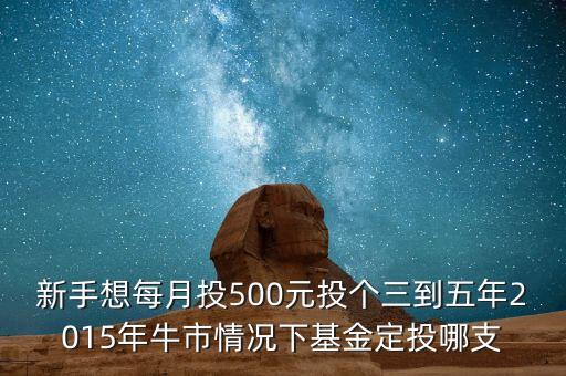 2015年新手買什么基金好，2015買什么基金比較好