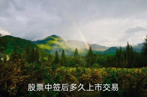 新股中簽后什么時(shí)間上市，新股申購(gòu)中簽后多久可以上市