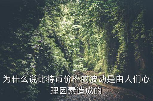 人們?yōu)槭裁匆幢忍貛?，為什么說比特幣價(jià)格的波動(dòng)是由人們心理因素造成的