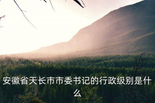 安徽省天長(zhǎng)市市委書記的行政級(jí)別是什么