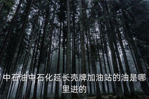 中石油中石化延長(zhǎng)殼牌加油站的油是哪里進(jìn)的
