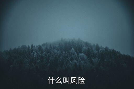 什么叫增量風險，什么叫增多了國際投資增加了國際風險