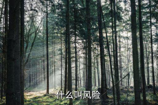 什么叫風(fēng)險(xiǎn)