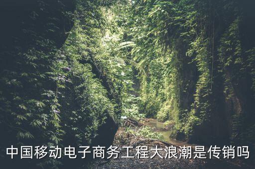 中國移動電子商務(wù)工程大浪潮是傳銷嗎