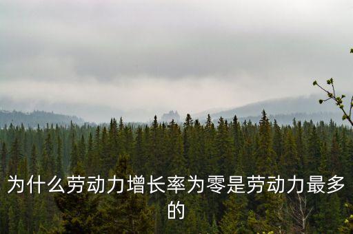 為什么勞動力增長率為零是勞動力最多的