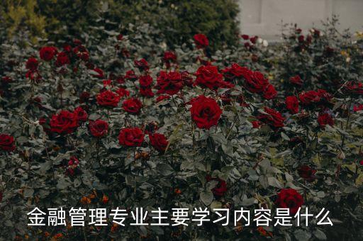 國(guó)際金融管理的基本內(nèi)容是什么，讀金融管理包括哪方面