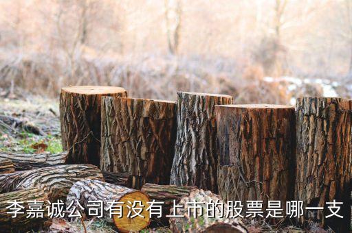 李嘉誠公司有沒有上市的股票是哪一支