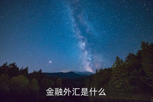 金融外匯是什么，金融如何理解 外匯是什么意思