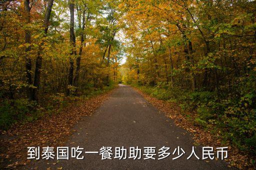 助幣是什么意思，到泰國(guó)吃一餐助助要多少人民幣