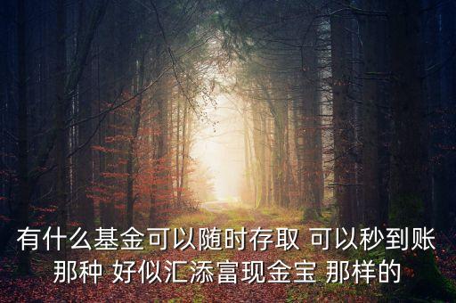 什么基金秒到，有什么基金可以隨時存取 可以秒到賬那種 好似匯添富現(xiàn)金寶 那樣的