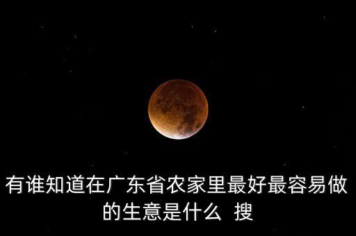 有誰(shuí)知道在廣東省農(nóng)家里最好最容易做的生意是什么  搜