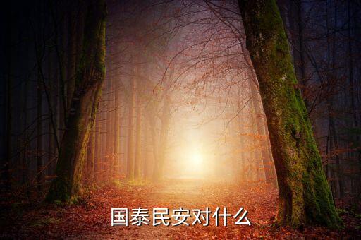 國泰民安是什么保險，國泰民安和國泰平安是一個意思嗎