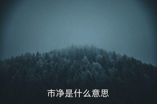 什么叫市凈率，什么是市凈率和市盈率