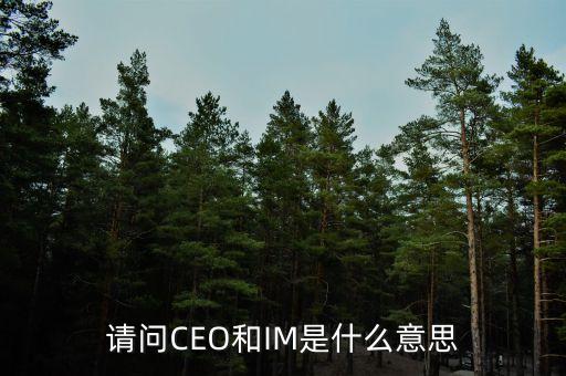 光大富尊IM是是什么，請問CEO和IM是什么意思