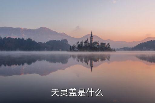 股票天靈蓋是什么，天靈蓋是什么