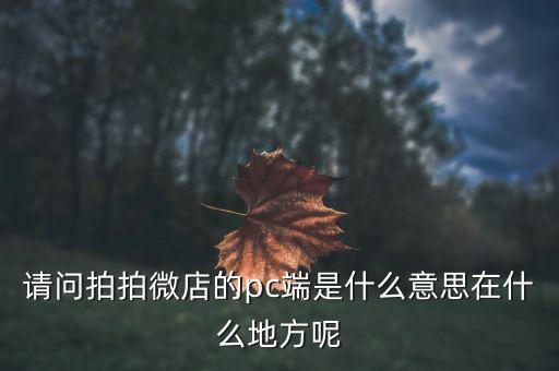 請(qǐng)問(wèn)拍拍微店的pc端是什么意思在什么地方呢