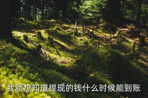 我就想知道提現(xiàn)的錢什么時候能到賬