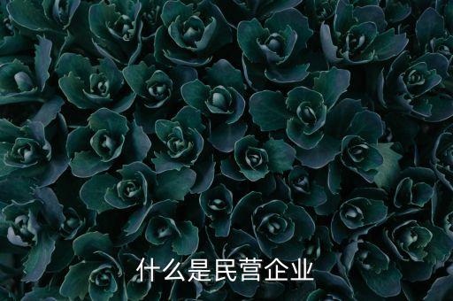 什么是民營(yíng)企業(yè)