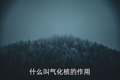 什么叫氣化核的作用