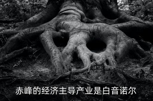 赤峰的經(jīng)濟(jì)主導(dǎo)產(chǎn)業(yè)是白音諾爾