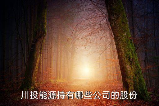 川投集團(tuán)是什么單位，四川投資集團(tuán)川投怎么樣