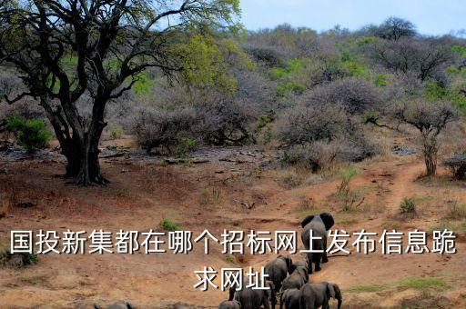 國(guó)投新集什么情況，有誰(shuí)了解國(guó)投新集能源股份有限公司嗎
