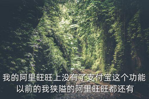 阿里上市為什么沒有支付寶，阿里巴巴創(chuàng)立初期沒支付寶如何解決支付問題的