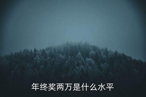 年終獎10000什么水平，月薪1700年終獎一萬算什么水平