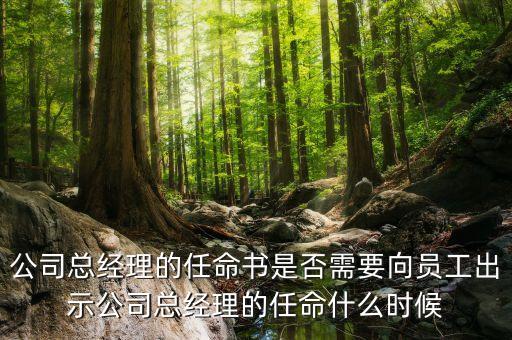 國企高管任免時間什么時候，國企的領導負責人是怎么任免的