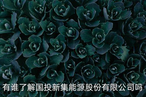 有誰了解國投新集能源股份有限公司嗎
