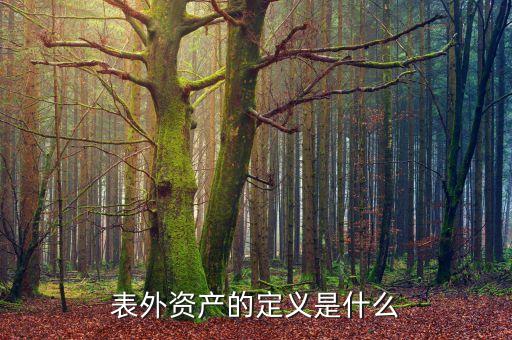 表外不良資產(chǎn)指什么，銀行表外資產(chǎn)的介紹