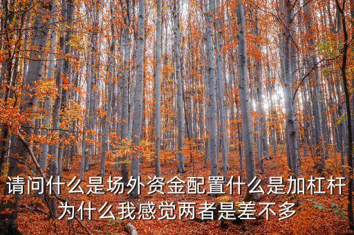 請問什么是場外資金配置什么是加杠桿為什么我感覺兩者是差不多