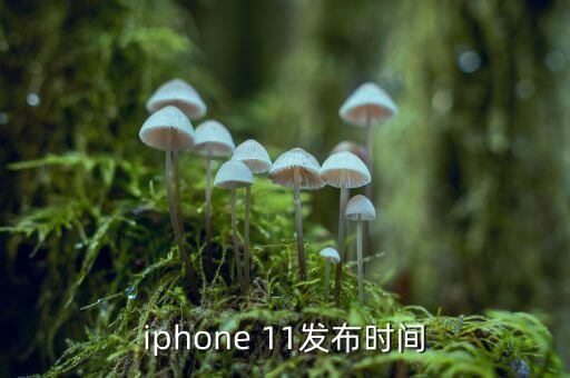 科11什么時(shí)候上市，iphone 11發(fā)布時(shí)間