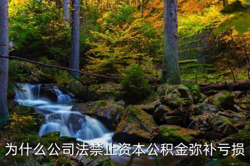 資本公積金為什么不能彌補虧損，為什么公司法禁止資本公積金彌補虧損