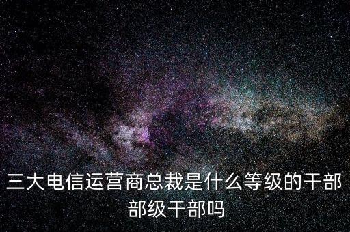 溫冬芬是什么級別，安徽省天長市市委書記的行政級別是什么