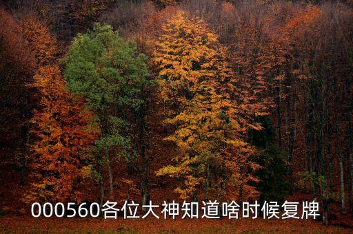 000560各位大神知道啥時候復(fù)牌