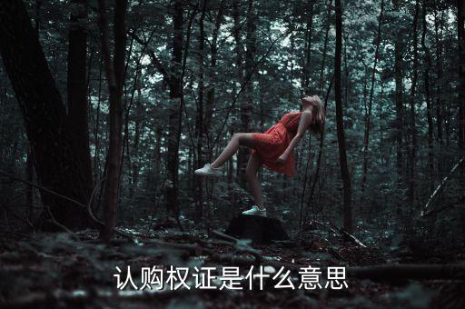 認(rèn)購(gòu)權(quán)證是什么意思