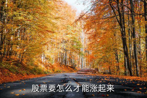 股票要怎么才能漲起來(lái)