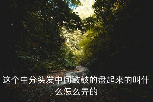 這個中分頭發(fā)中間鼓鼓的盤起來的叫什么怎么弄的