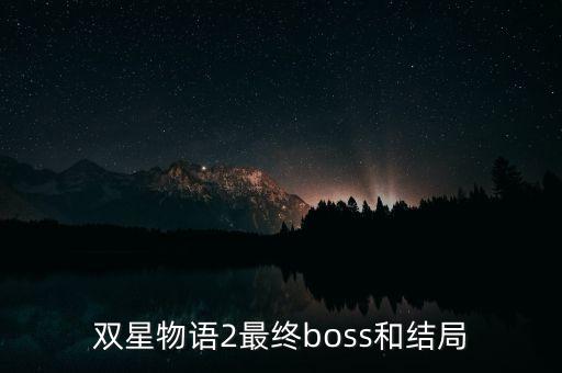 雙星汪海干什么去了，雙星 董事長