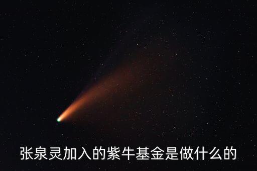 張泉靈加入的紫牛基金是做什么的