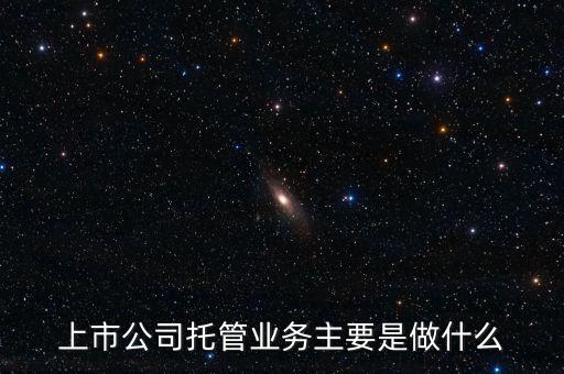 上市公司托管業(yè)務(wù)主要是做什么