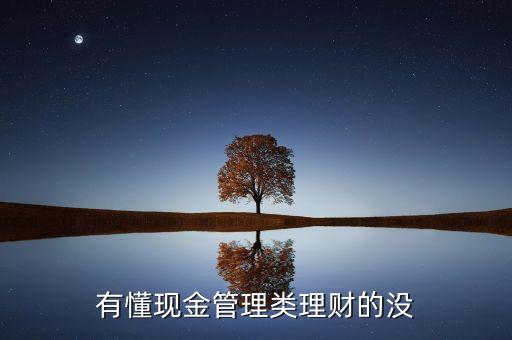 什么是現(xiàn)金管理類產(chǎn)品，簡述什么是現(xiàn)金管理