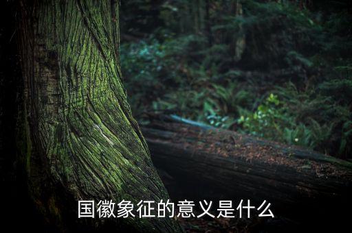 國琪意義是什么，國徽象征的意義是什么