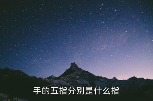 五指最后小指是什么指，五指 怎么分別