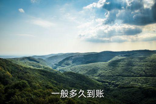 小額時(shí)實(shí)支付什么時(shí)候到賬，一般多久到賬