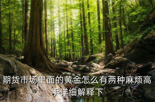 期貨市場(chǎng)里面的黃金怎么有兩種麻煩高手詳細(xì)解釋下