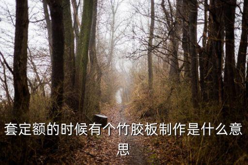 套定額的時(shí)候有個(gè)竹膠板制作是什么意思