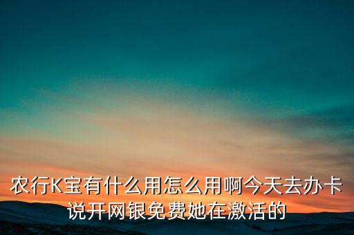 農(nóng)行K寶有什么用怎么用啊今天去辦卡說開網(wǎng)銀免費她在激活的